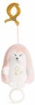 Amek Toys Jucarie muzicala Amek Toys - Arici, roz, 14 cm (98607)
