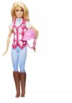 Mattel Barbie: Păpușa Malibu călăreț (HXJ38) Papusa Barbie