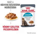 Royal Canin URINARY CARE GRAVY - szószos nedves táp felnőtt macskák részére az alsó hugyúti problémák megelőzéséért 48x85 g