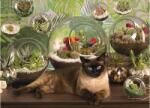 Cobble Hill 40142 - Terrarium Cat - 1000 db-os puzzle (40142)