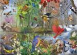 Cobble Hill 40163 - Birds of the Season - 1000 db-os puzzle (40163)