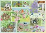 Cobble Hill 45101 - Garden Birds in Spring - 500 db-os puzzle (45101)