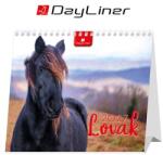 DAYLINER Naptár, asztali, álló, DAYLINER Lovak (DL7AS-LOFAL-HH) - kellekanyagonline
