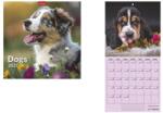 TopTimer Naptár, fali, TOPTIMER, Dogs (27T9800-06A)