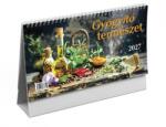 TopTimer Naptár, asztali, álló, TOPTIMER, Gyógyító természet (27T587P-00P)