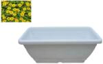ENGER virágláda/balkonláda tálcával Magyar 40cm Fehér (5999880112635)