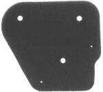 RMS Filtru aer Malaguti F10 F12 (100600061RM)