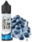 Steam Train Disposable Edition Blueberry Ice 20ml/60ml