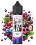 Steam Train Disposable Edition Forest Berry 20ml/60ml