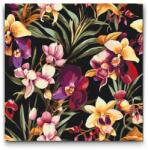  Festés számok szerint - Virágos háttér - orchidea Méret: 50x50cm, Keretezés: Kartonlemezen