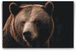  Festés számok szerint - Grizzly medve Méret: 40x60cm, Keretezés: Kartonlemezen