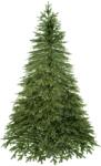 SPRINGOS Brad de Crăciun 220cm CT0154 (S-CT0154)