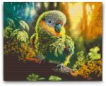  Gyémántszemes kirakó - Papagáj az erdőben Méret: 40x50cm, Keretezés: Műanyagtáblával, Gyémántok: Kerek