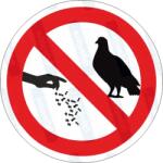  Madarakat etetni tilos piktogram matrica : Tábla-matrica mérete - 200 x 200 mm, Tábla-matrica típusa - matrica