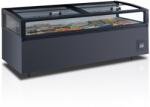 TEFCOLD VIEW 250 CF VS