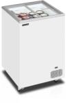 TEFCOLD IC101SC