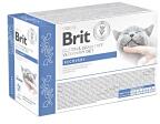 Brit VD Cat Recovery Pouch filets in Gravy lazaccal 12x85g
