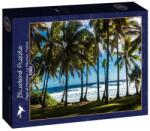 Bluebird Puzzle 1000 db-os puzzle - Plage et Palmiers, La Réunion, France (90477) (90477)