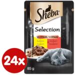 Sheba nedves csirke eledel 2, 04 kg