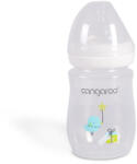 Cangaroo Birdy cumisüveg 160ml fiú