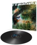 Pink Floyd A Saucerful of Secrets - facethemusic - 11 990 Ft