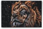  Festés számok szerint - Oroszlán esőben Méret: 40x60cm, Keretezés: Kartonlemezen