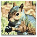  Festés számok szerint - Mókus Méret: 50x50cm, Keretezés: Kartonlemezen