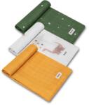 Lionelo Set 3 Scutece Lionelo Multifunctionale Dino Bambus 70x70cm Multicolor (LO-DINO_BAMBOO_BOX_MULTICOLOR)