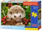 Castorland Puzzle 100 piese, diverse modele, Castorland RB23027 (RB23027) Puzzle