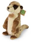 Rappa Suricat de pluș 24 cm ECO-FRIENDLY (RP907546)
