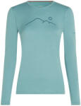 Icebreaker Women Merino 200 Oasis LS Crewe Rainer Ridge női funkcionális felső L / rózsaszín