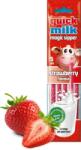 Quick Milk Magic Milk Straws С вкус на ягода 30гр