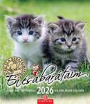 CSG Naptár, fali, CSG Én és a barátaim (FNU05) - fodicoaruhaz