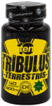 Cvetita Herbal Tribulus 300mg / 40 Caps
