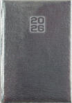 Dayliner Naptár, tervező, A5, napi, DAYLINER, "Mirror", ezüst (DL7AG-MRFA5NA-EZ)