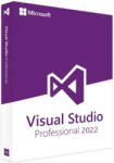 Microsoft Visual Studio Professional 2022, 77D-00076