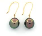 Bebe Gold Pereche Cercei din Aur 14k cu Perle de Tahiti Autentice, Semi-Rotunde, 10mm, calitate AA