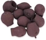  Eukalyptus Bell Gum szeder - kosarbolt