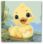  Festés számok szerint - Kacsa Méret: 30x30cm, Keretezés: Műanyagtáblával