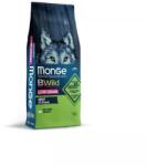 Monge BWild Adult boar 15 kg