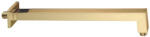 Valvex Brat de dus fix, Valvex Kvadro 2455570, alama sanitara, auriu, 40 cm (2455570)