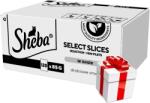 Sheba SHEBA Selection Select Slices baromfi ízű tasakok 120x85g - teljes értékű nedves eledel felnőtt macskáknak, szószban + Ingyenes Meglepetés Macskának
