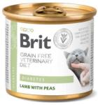 Brit Veterinary Diets Cat GF Diabetes konzerv - 6x200 g