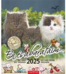 Csg Naptár, fali, CSG "Én és a barátaim (FNU05) - nyomtassingyen