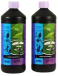 Atami B'cuzz Hydro A+B Térfogat: 1 l