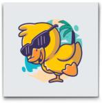  Festés számok szerint - Kacsa szemüvegben Méret: 30x30cm, Keretezés: Keret nélkül (csak a vászon)