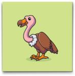  Festés számok szerint - Aranyos keselyű Méret: 30x30cm, Keretezés: Keret nélkül (csak a vászon)