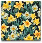 Festés számok szerint - Virágos háttér - Nárciszok Méret: 50x50cm, Keretezés: Kartonlemezen