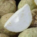 HORTI TOPS Seminte Plante aromatice TELINA PT. RADACINA DOLVI Horti Tops 0.5 g (HCTS00316)