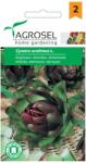 Agrosel Seminte de anghinare, 1, 3 grame, AGROSEL (HCTG01444)